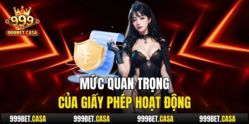 Mức quan trọng của giấy phép hoạt động