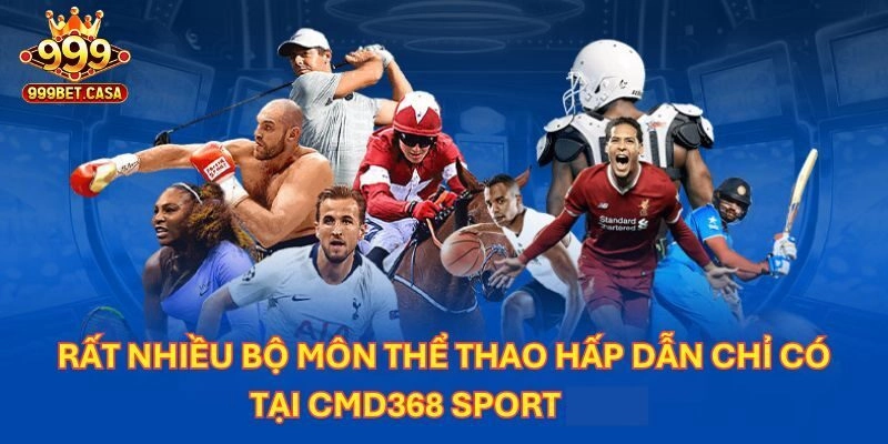 Lĩnh vực cá cược hấp dẫn tại CMD368 thể thao